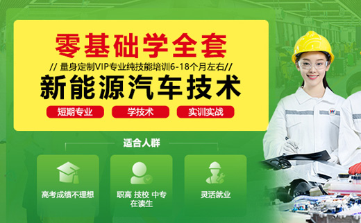 零基礎學全套新能源汽車技術